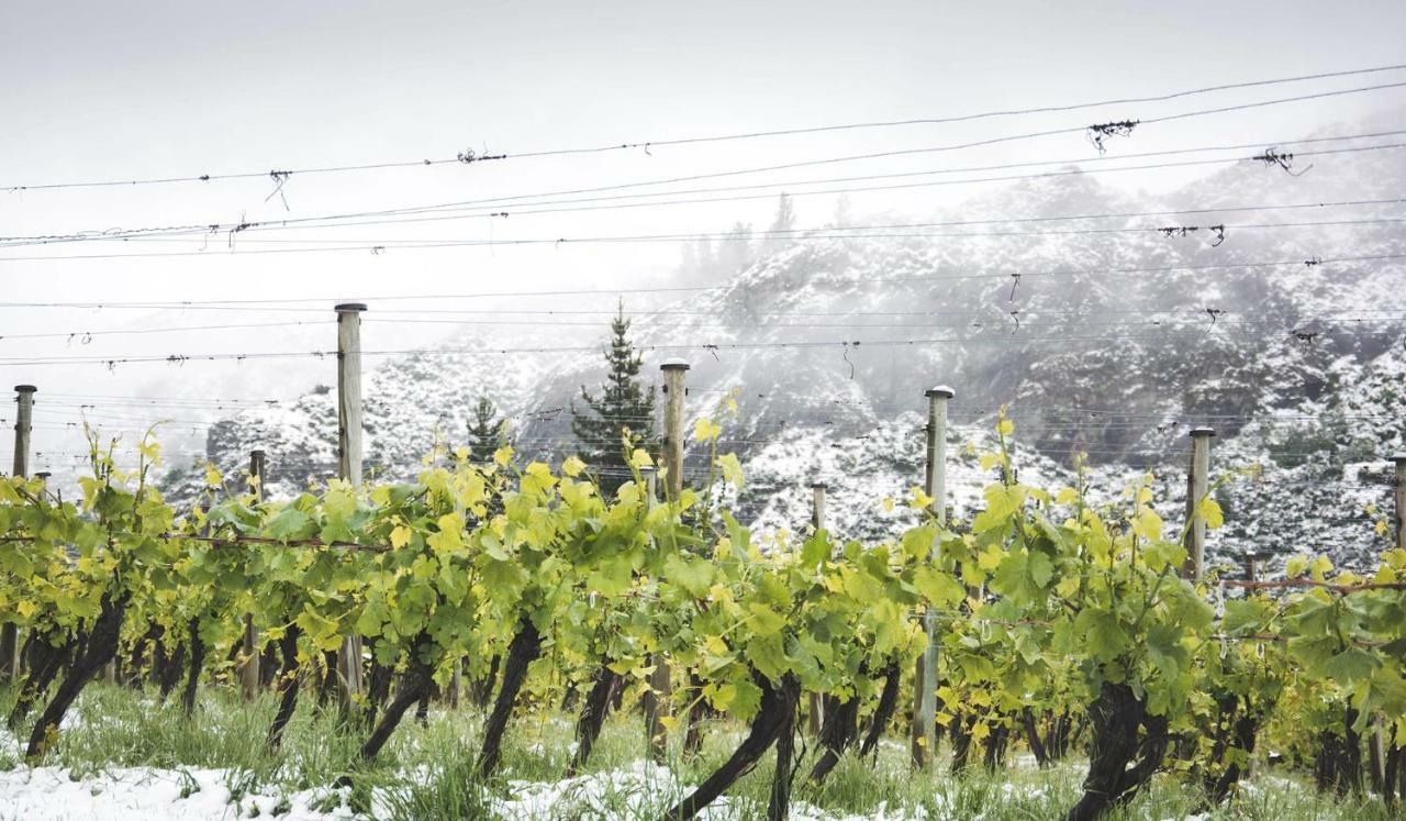 Gibbston Valley Lodge And Spa Queenstown Luaran gambar